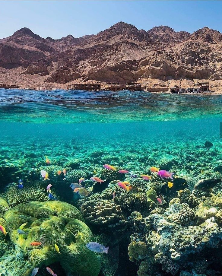 Aventure dans le désert et sur la mer Rouge à Charm el-Cheikh
